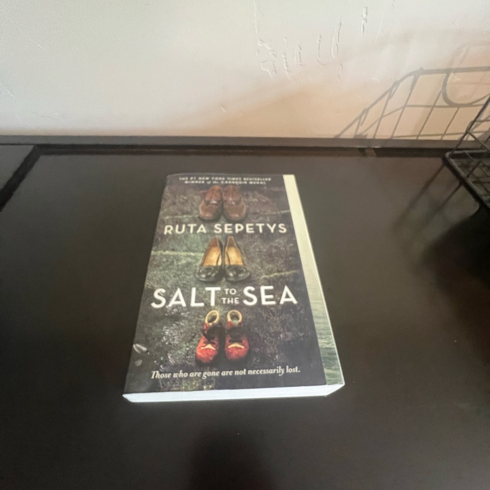 Salt and the Sea, book